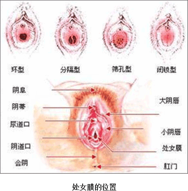 沈阳当代医院